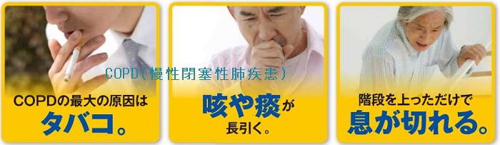 COPD(慢性閉塞性肺疾患;慢性気管支炎、肺気腫) COPD(慢性閉塞性肺疾患;慢性気管支炎、肺気腫)